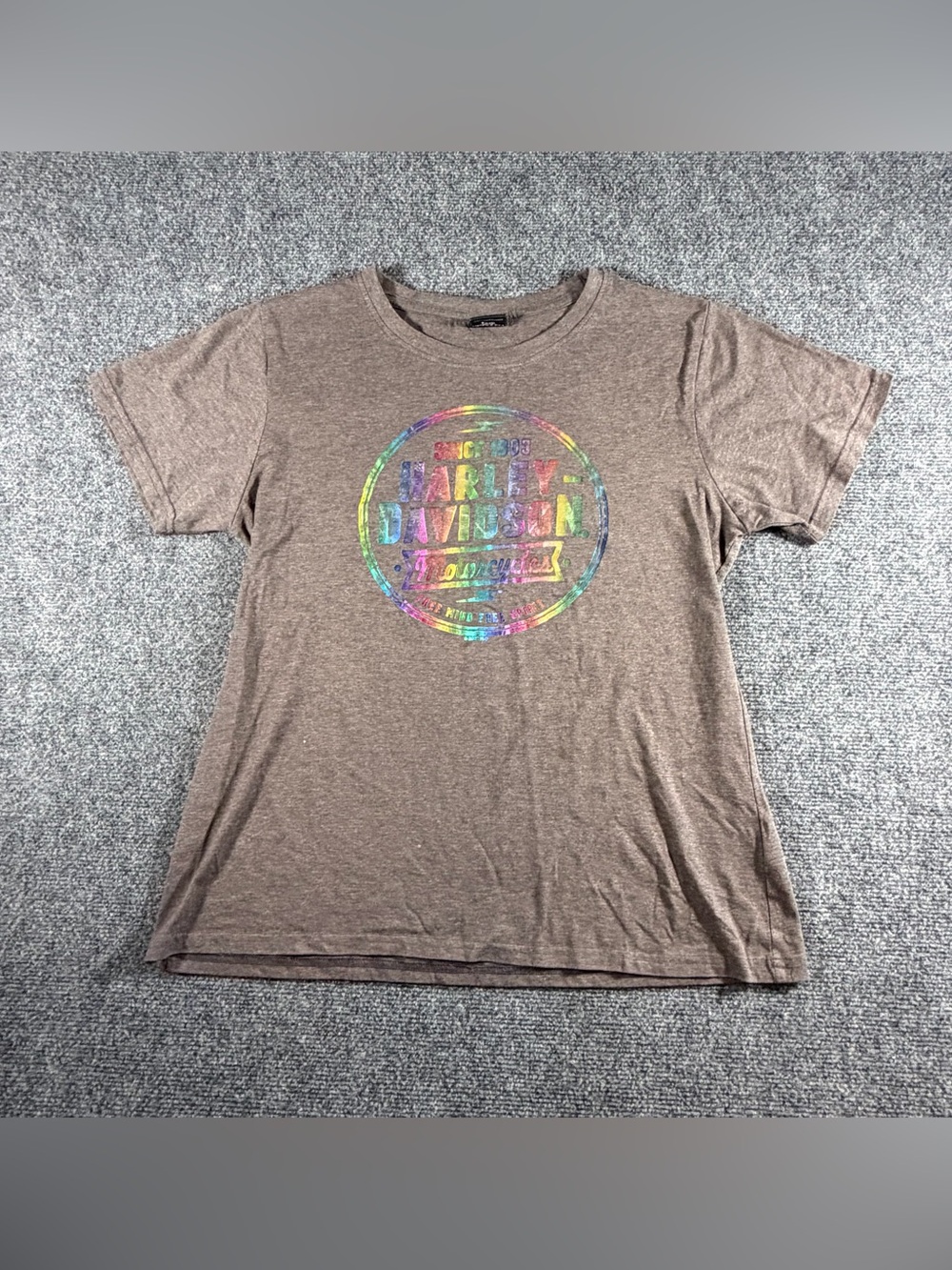 Harley Davidson Space Coast Palm Pay Fl Shiny Iridescent Graphic Tee Gray Large